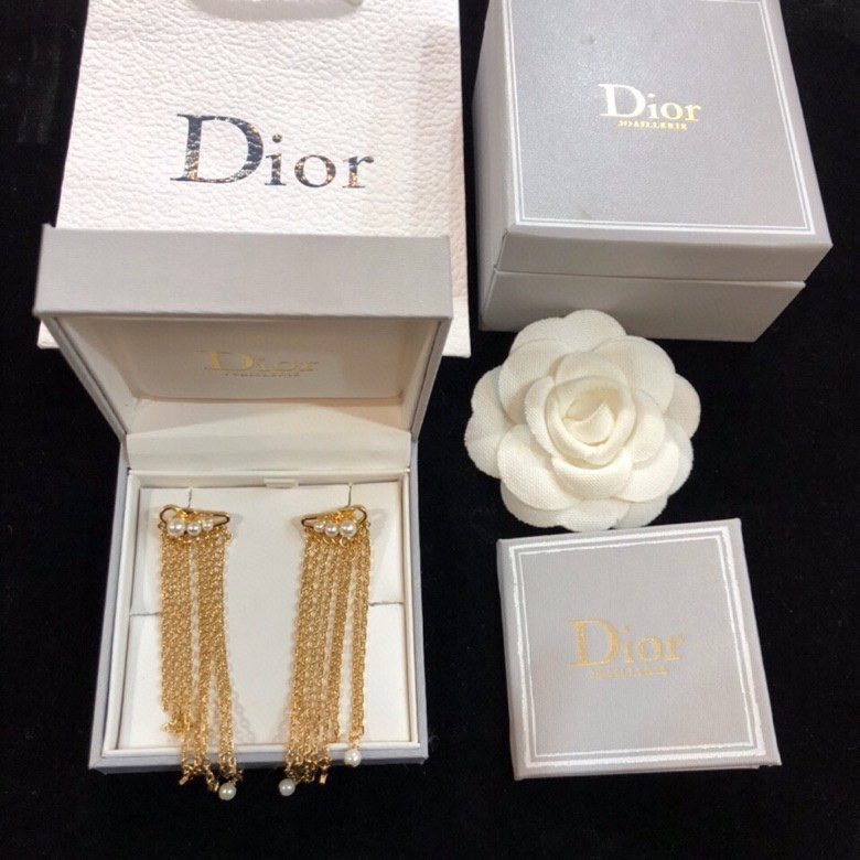 Christian Dior Earrings